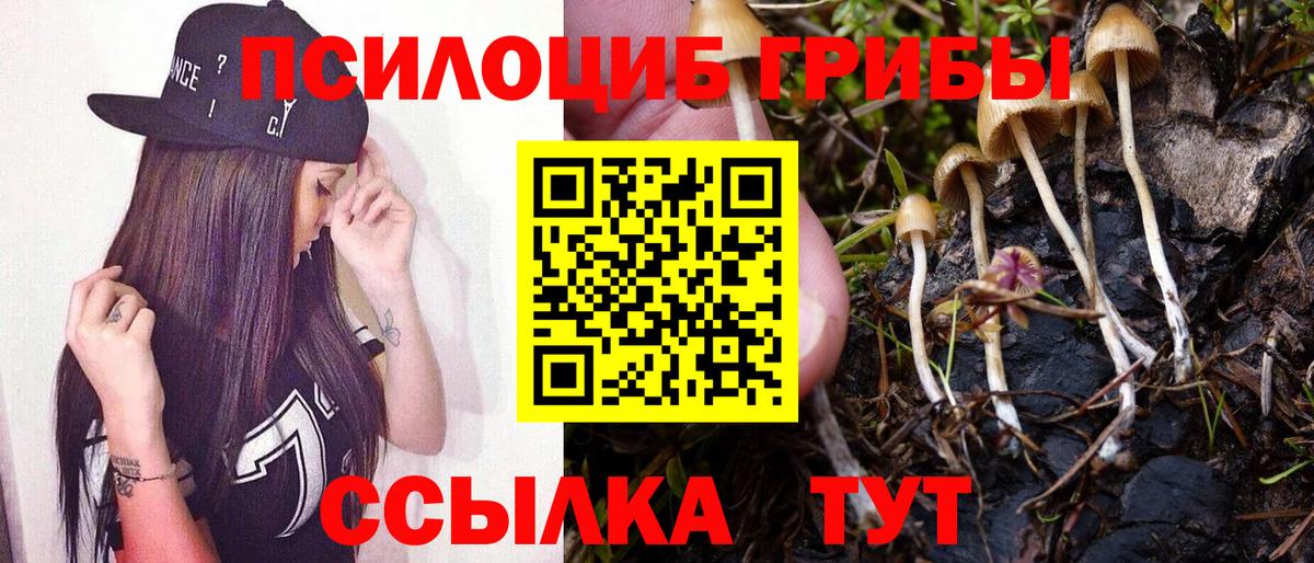 Галлюциногенные грибы Psilocybine cubensis Лесозаводск